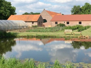 foto boerderij achterkant